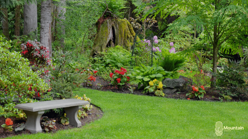 îngrijirea grădinii primăvara